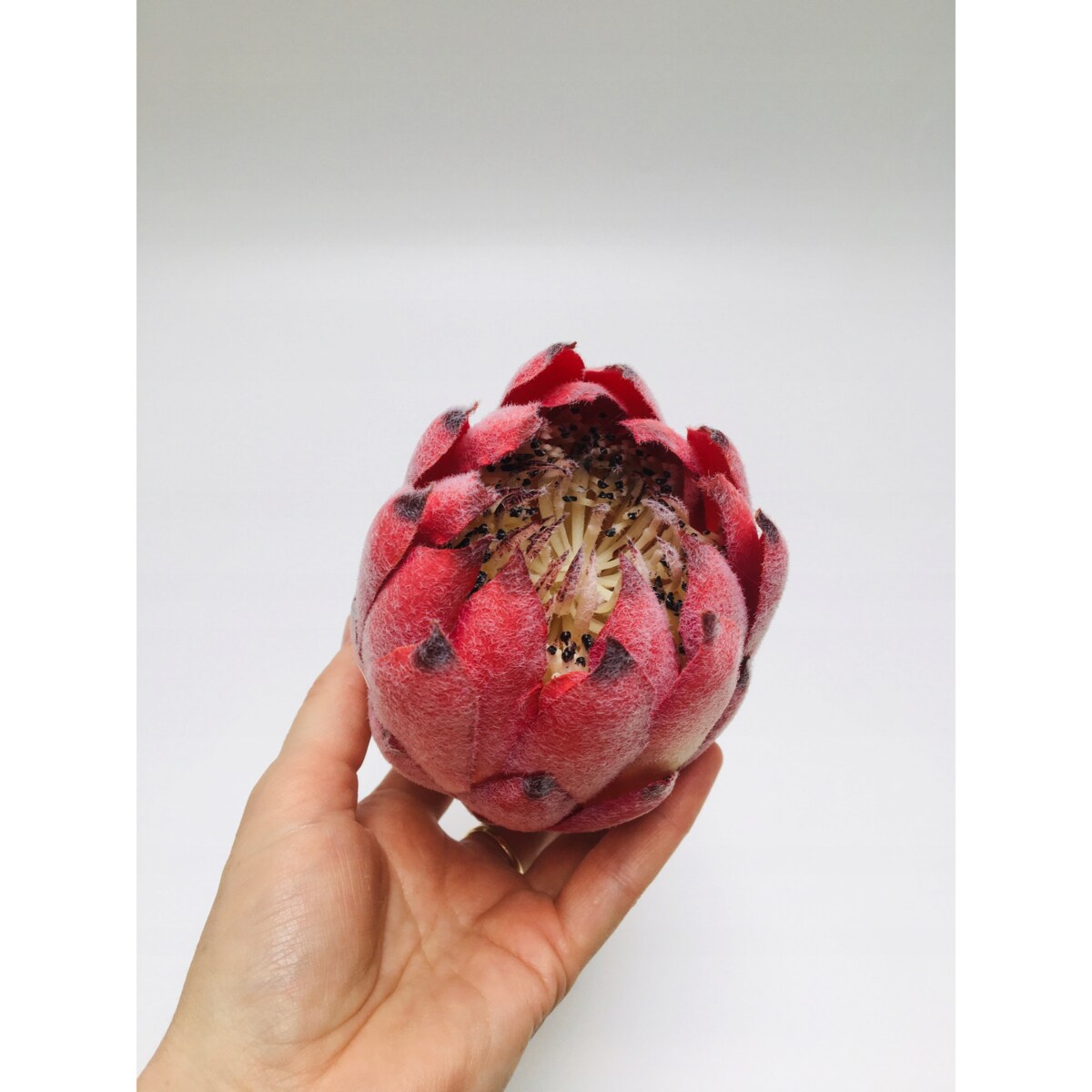 KARCZOCH SZTUCZNY do dekoracji wiązanki stroika duży podłużny 1szt