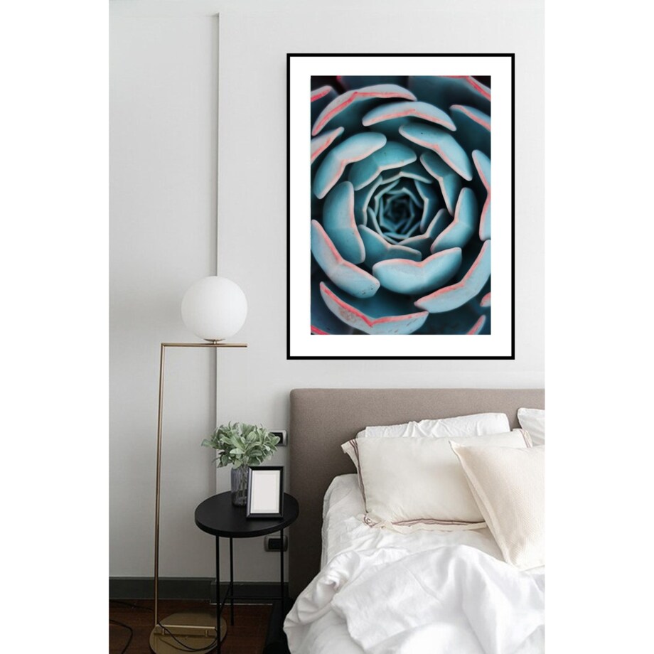 Poster Story, Plakat, Obraz - Tęczowy Sukulent, wymiary 50 x 70 cm