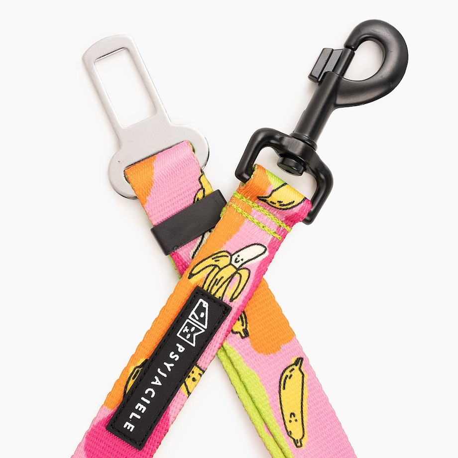 Pasy samochodowe "Owoc falliczny 2.0" - Szerokość taśmy: 20mm