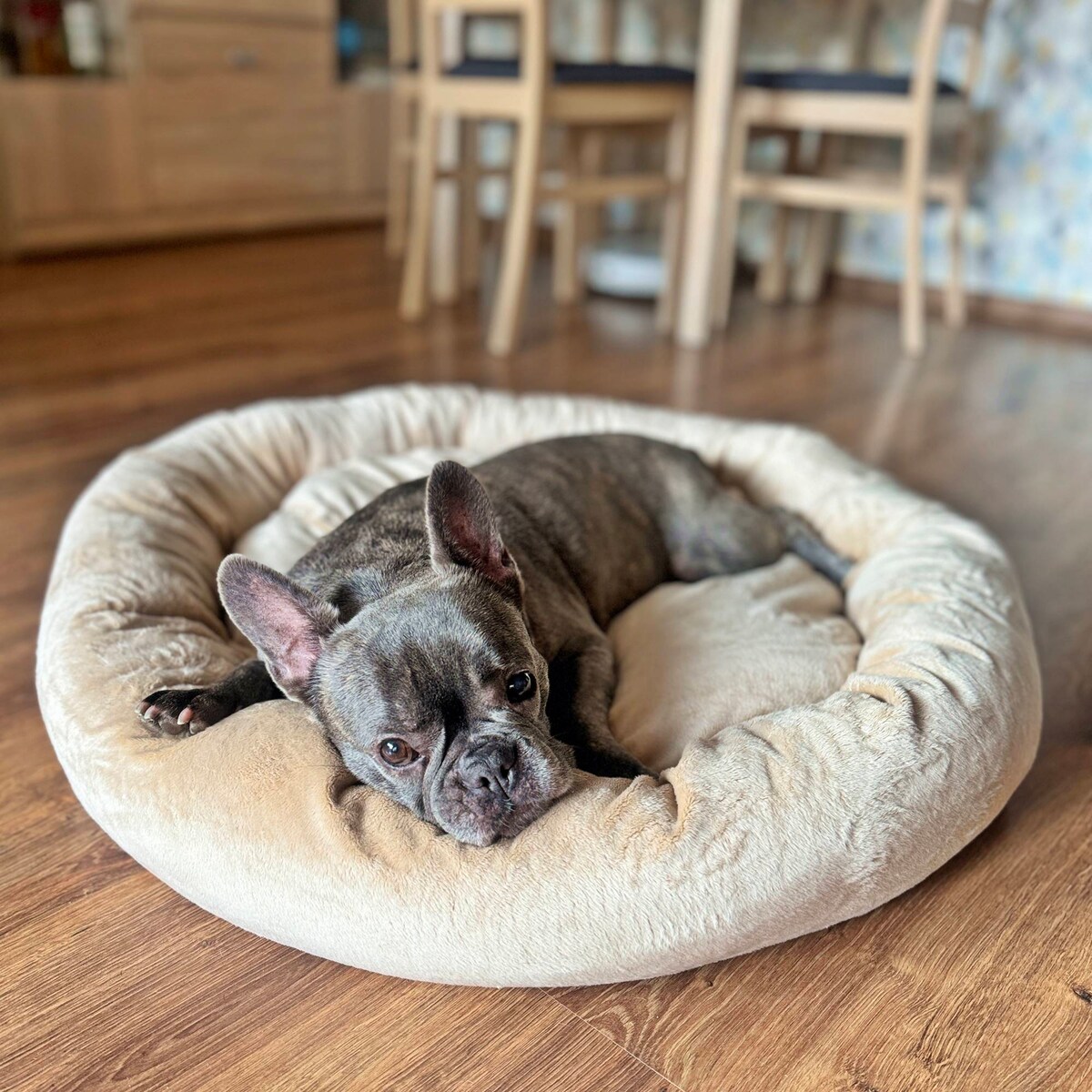 Pluszowe legowisko dla psa lub kota BUZZY, 75x65 cm, Beż