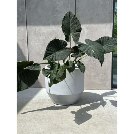 Zestaw doniczek SANDRE