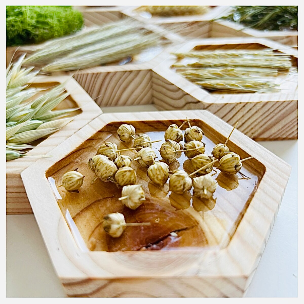 Dyski sensoryczne ZIELONO MI