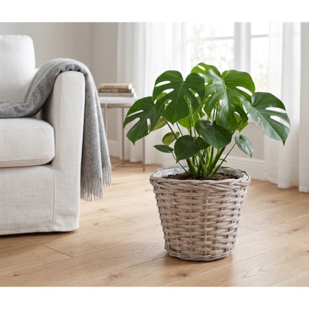 OSŁONKA WIKLINOWA KOSZ WIKLINOWY 25cm DONICZKA DONICA SZARA DUŻA BOHO