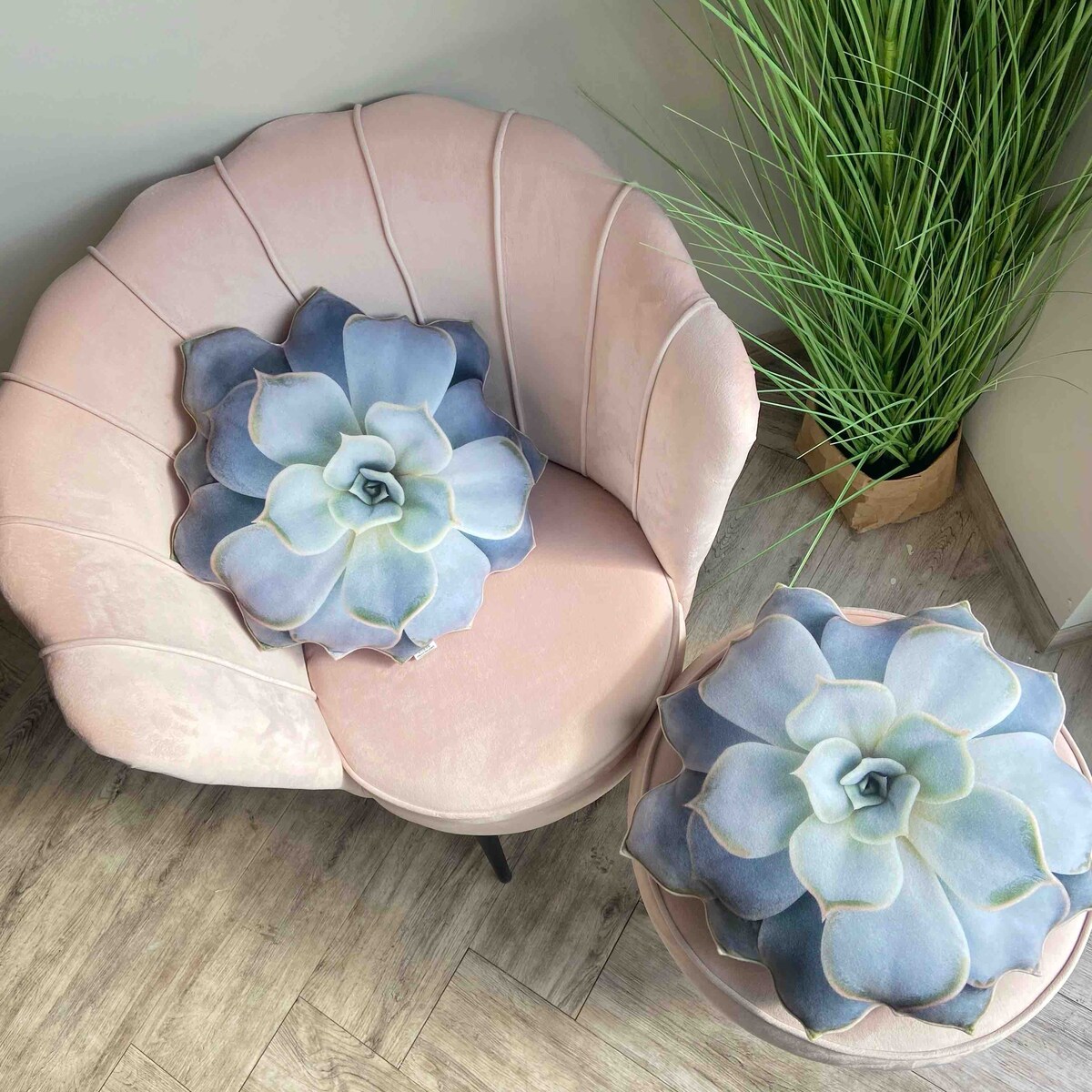 Poduszka duża Sukulent Echeveria Eszeweria