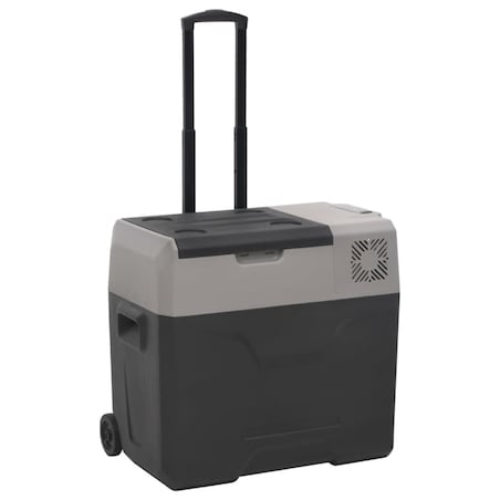 vidaXL Lodówka na kółkach, z zasilaczem, czarno-szara, 30 L, PP