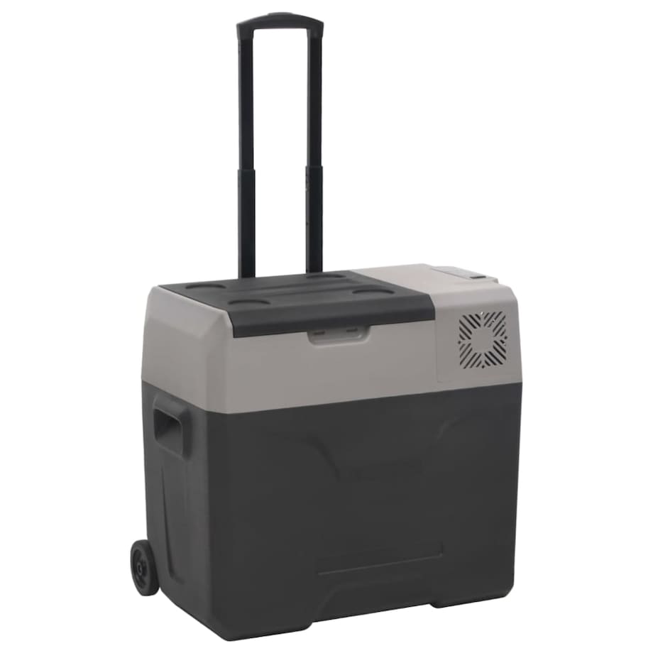 vidaXL Lodówka na kółkach, z zasilaczem, czarno-szara, 30 L, PP
