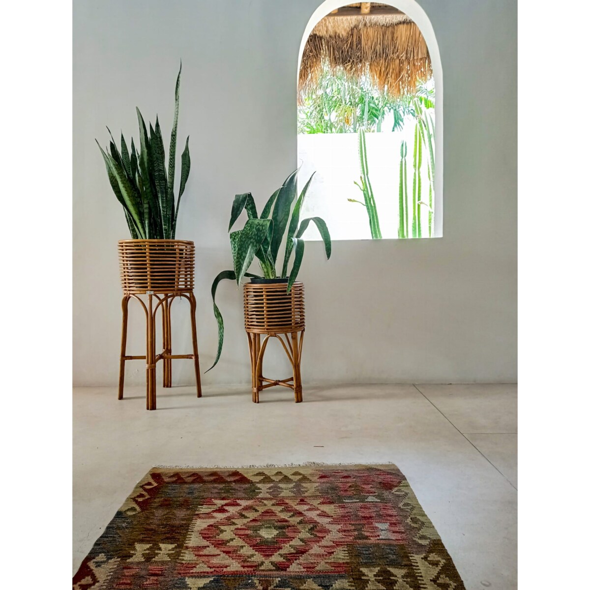 KWIETNIK POLLIE S KARMEL