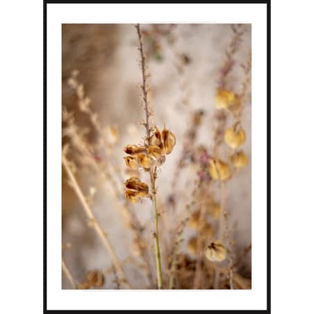 Poster Story, Plakat, Obraz - Przedwiośnie, wymiary 21 x 30 cm