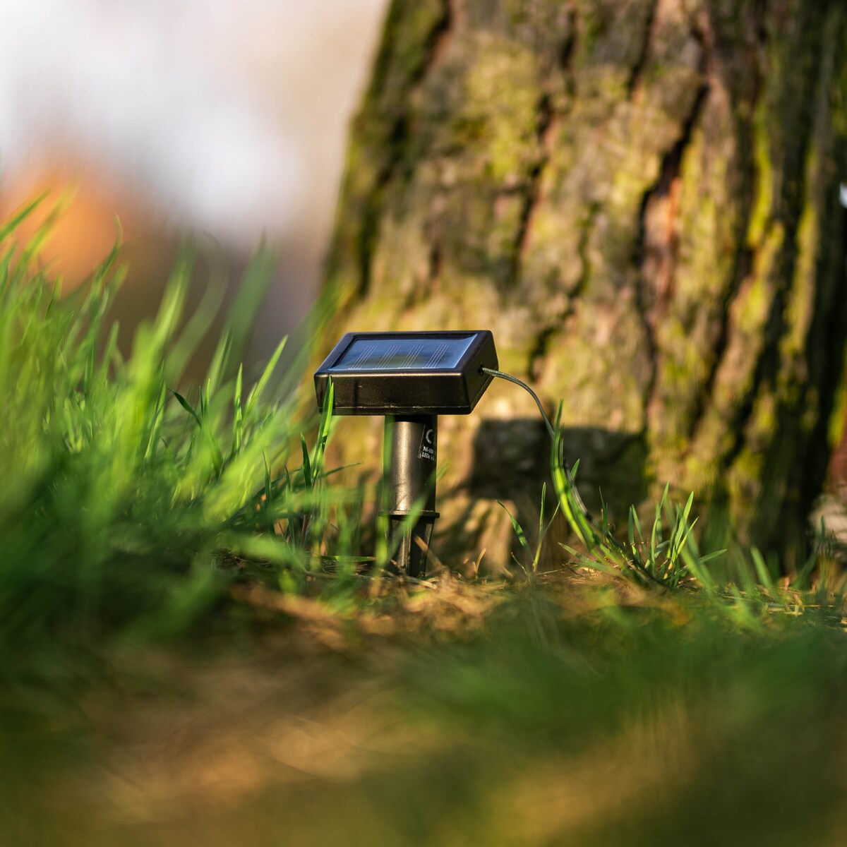 Girlanda ogrodowa PARTY, solarna, 10 lampek w kształcie żarówki