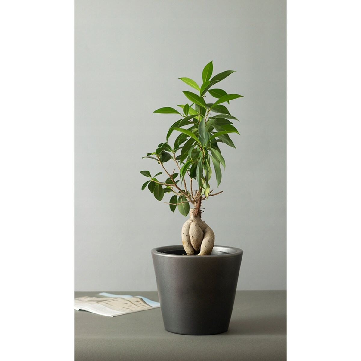 DONICA SOFIA ceramiczna czarny mat śr. 21cm