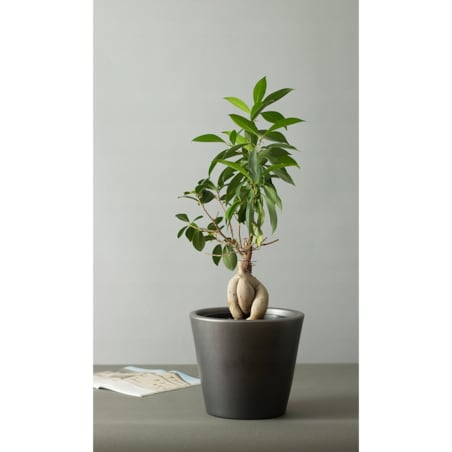 DONICA SOFIA ceramiczna czarny mat śr. 21cm