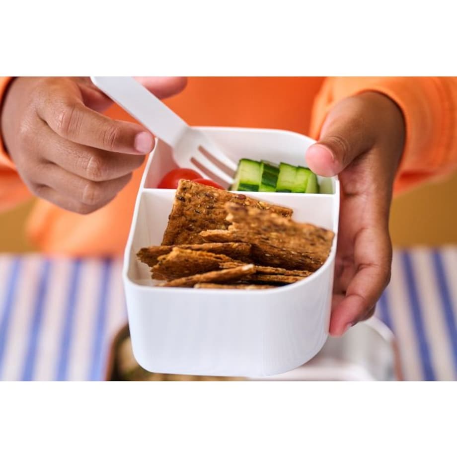 Lunch box stalowy Campus Dino 107490065381