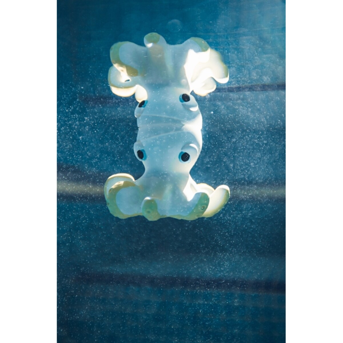 Oli & Carol X BigStuffed Gryzak i zabawka do kąpieli Ośmiornica