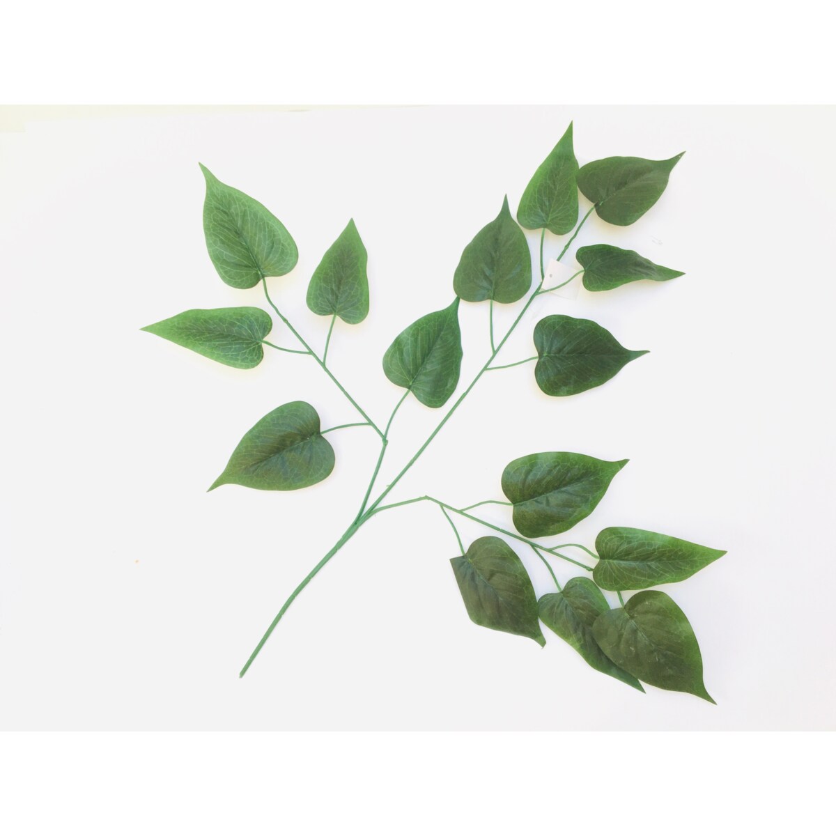 LIŚCIE DO stroika wiązanki gałązka zielony łodyga dodatek róży liść bukiet