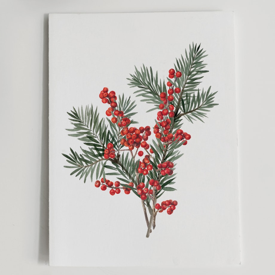 Plakat Gałązka sosny z ostrokrzewem 21x30cm