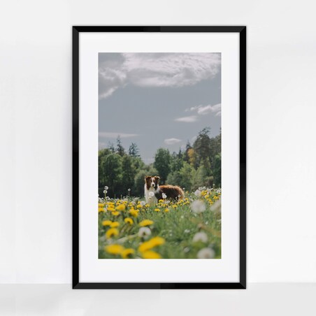 Ramka na zdjęcia 61x91,5 cm czarna rama MDF z plexi do powieszenia pion poziom klasyczna prostokątna ramka FRAMAI®