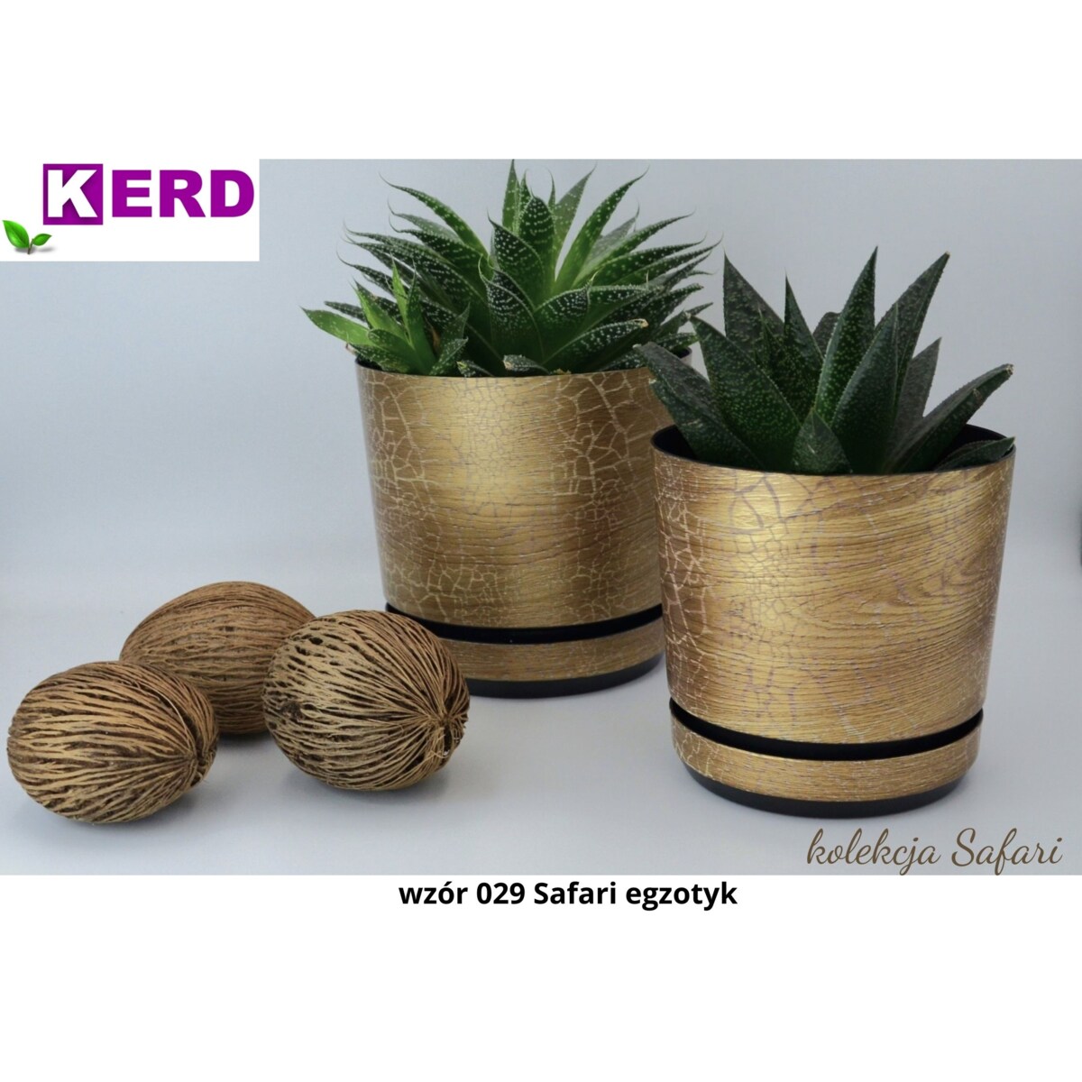 16 cm wzór SAFARI EGZOTYK Doniczka z podstawką efekt naturalny drewna złotej deski drzewa afrykańskiego drewnopodobna