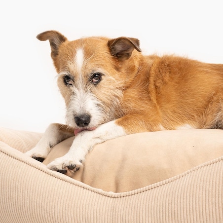 Kanapa ortopedyczna sztruksowa "Rachel Green" - Rozmiar: L