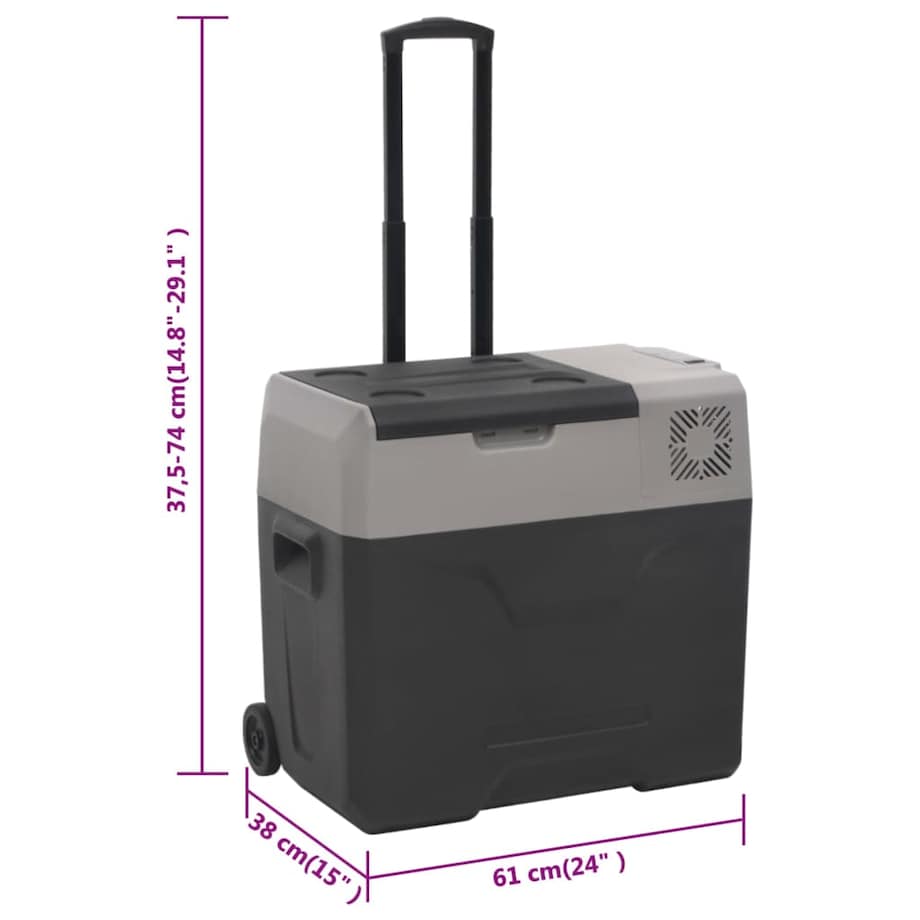 vidaXL Lodówka na kółkach, z zasilaczem, czarno-szara, 30 L, PP