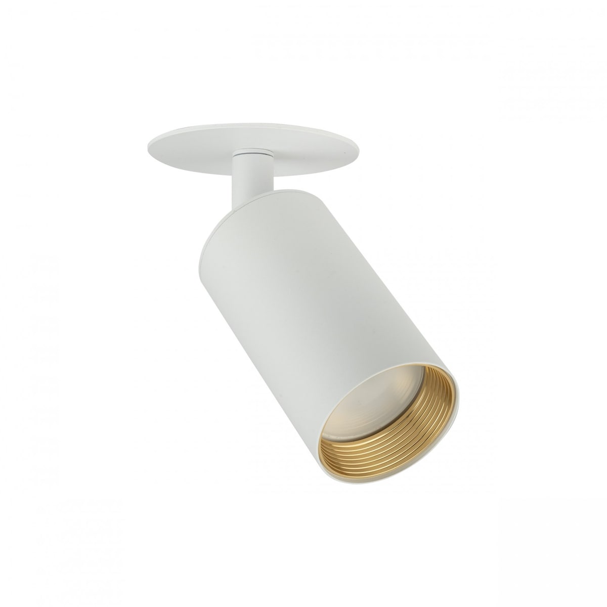 Lampa spot podtynkowa TK Lighting AMIS WHITE 10810 GU10 biała ze złotym akcentem regulowany reflektor sufitowy