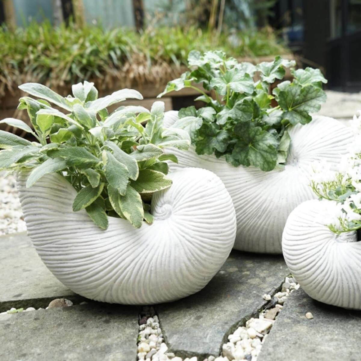 Doniczka Shellfish, 34 x 22 x 21,5 cm