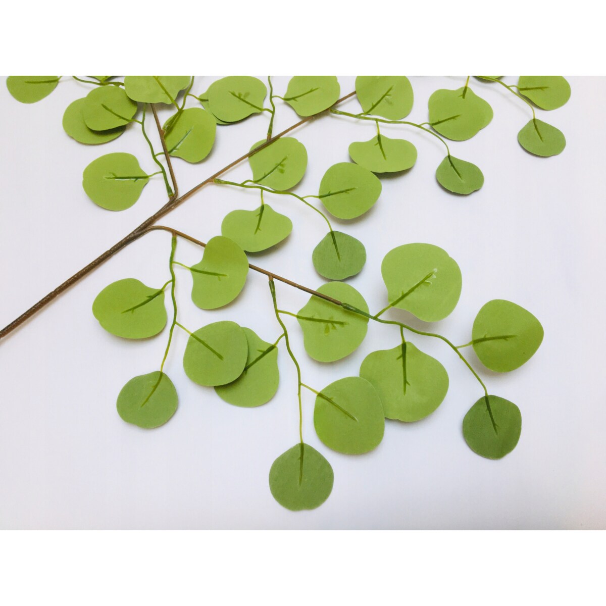 DUŻA ŁODYGA LIŚCIE EUKALIPTUS gałązka do wiązanki dekoracji stroika sztuczn