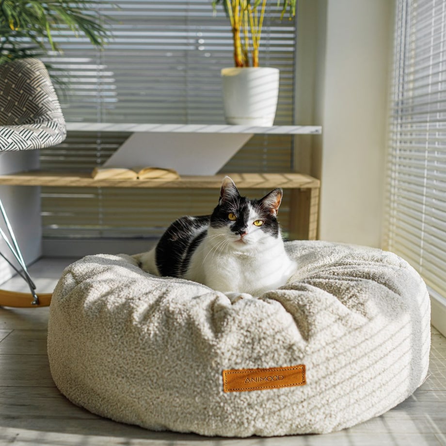 Animood Pufa Coco rozmiar: uniwersalny, kolor: jasny beż, materiał:boucle