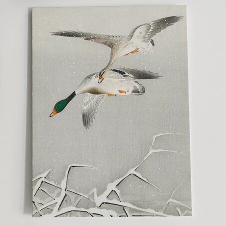 Plakat Kaczki W Locie 21x30cm