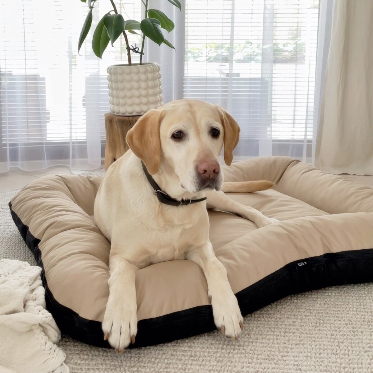 Wodoodporny materac dla psa ponton KLEO, 130x110 cm, Beż