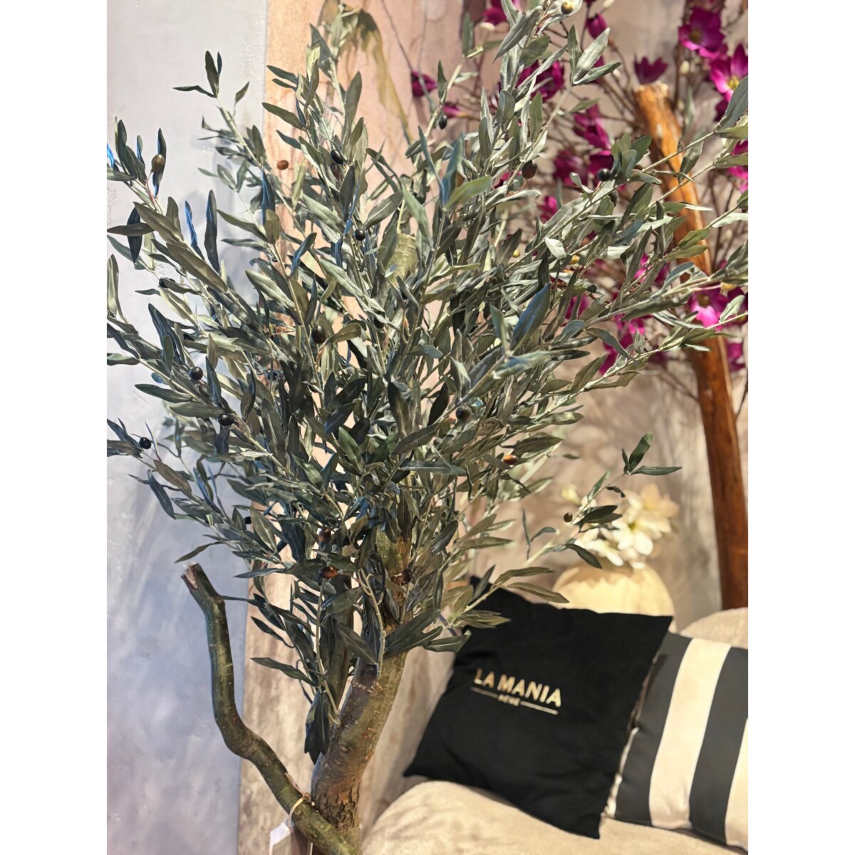 Drzewo oliwne 180cm na kręconym naturalnym pniu