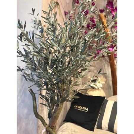Drzewo oliwne 180cm na kręconym naturalnym pniu