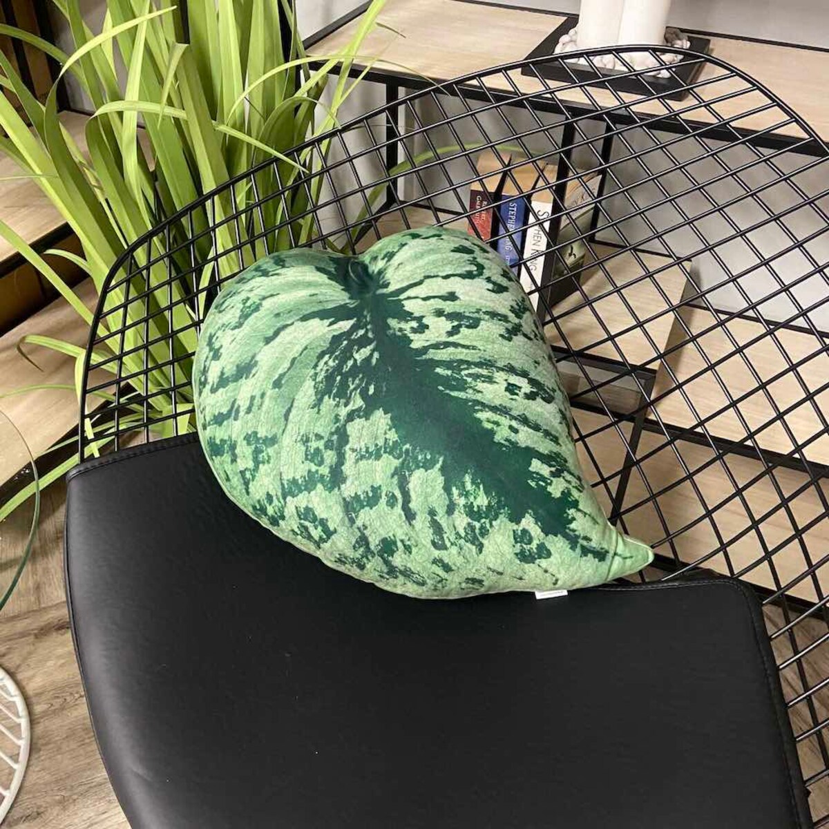 Poduszka liść Scindapsus Pstry Exotica