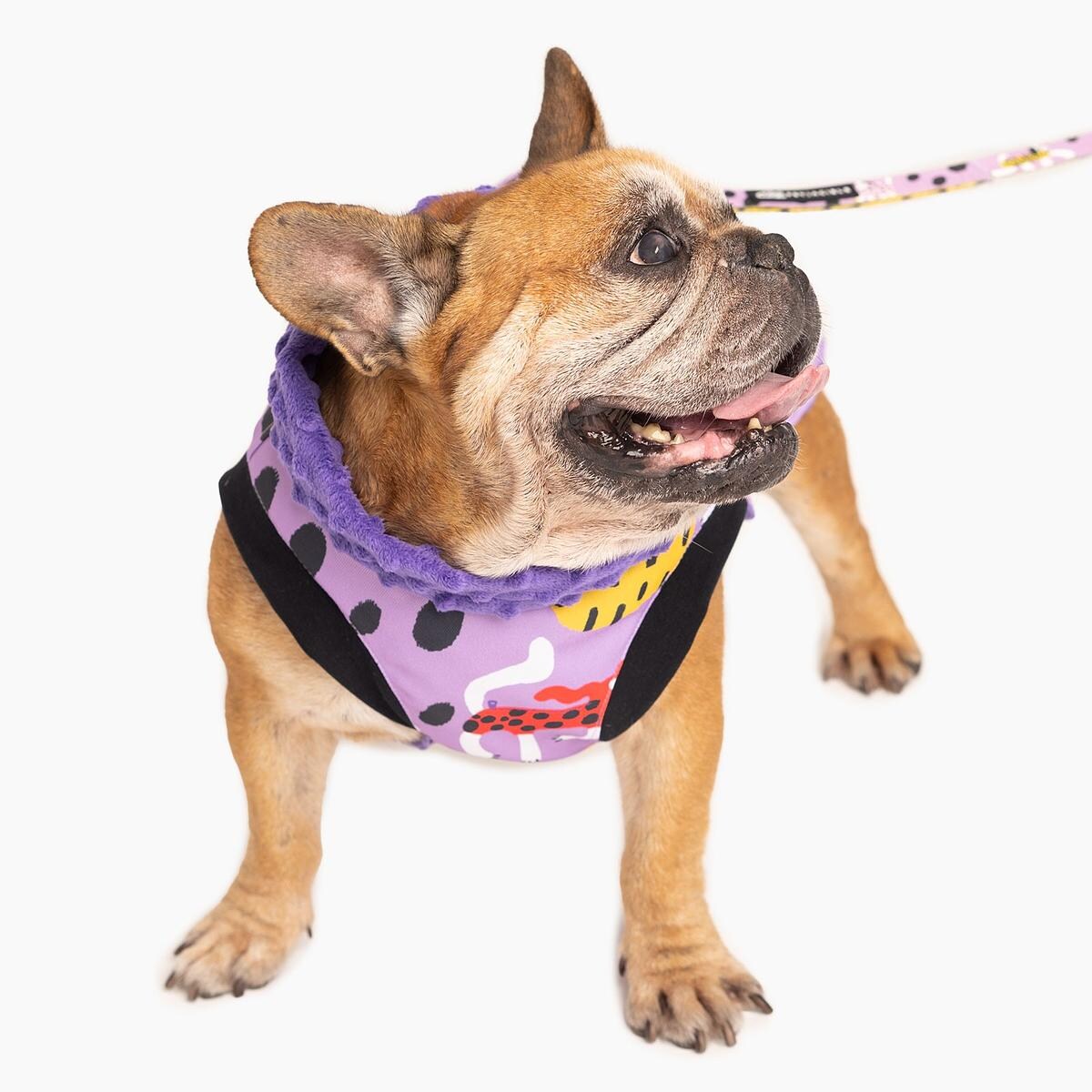 Kurtka dla psa "Pieski floreski" - Rozmiar: XXS