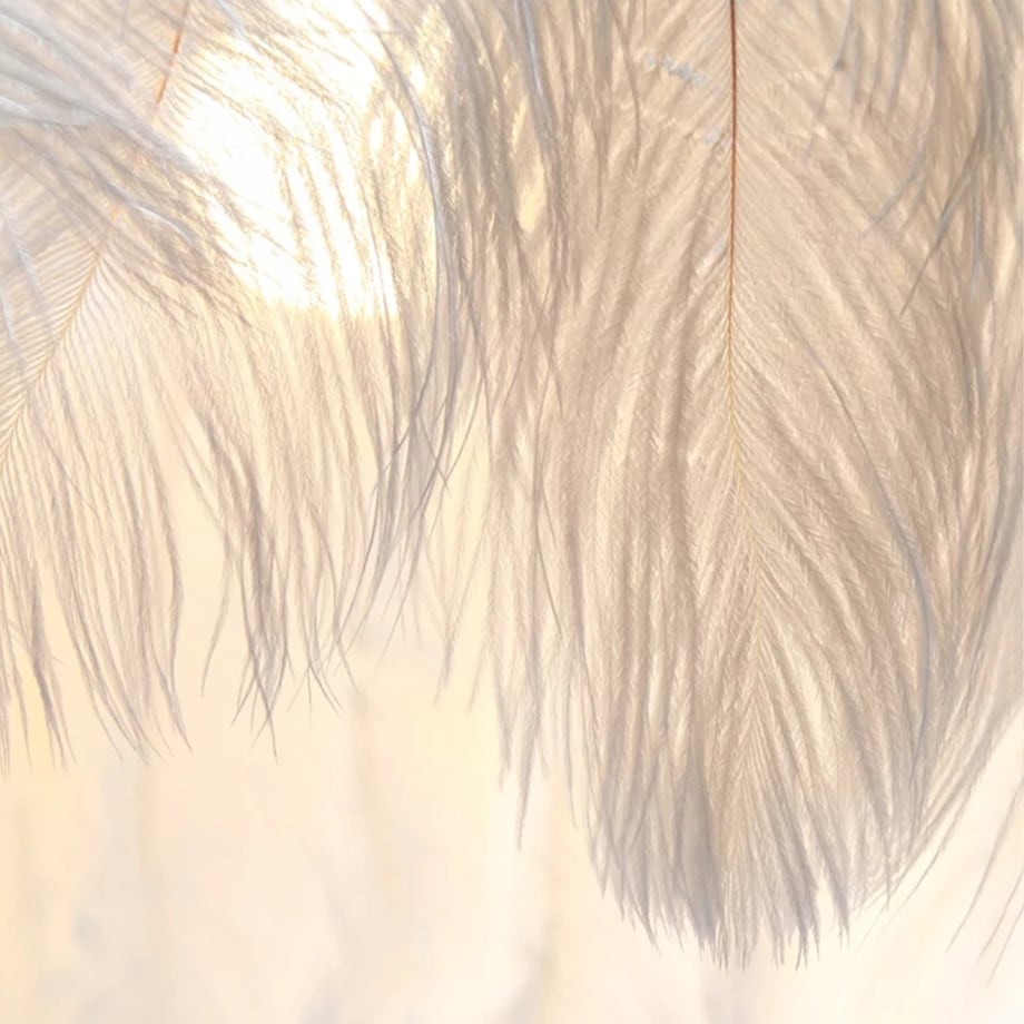 Lampa Sufitowa Wisząca Z Piórami Boho App662 Złota