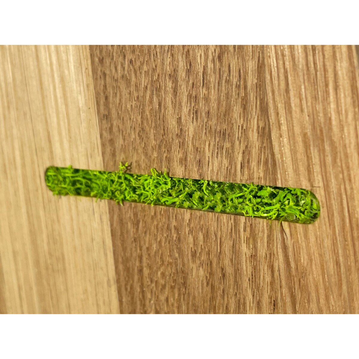 Drewniany zegar na ścianę Mech Chrobotek