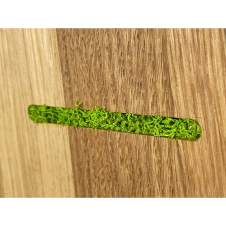 Drewniany zegar na ścianę Mech Chrobotek