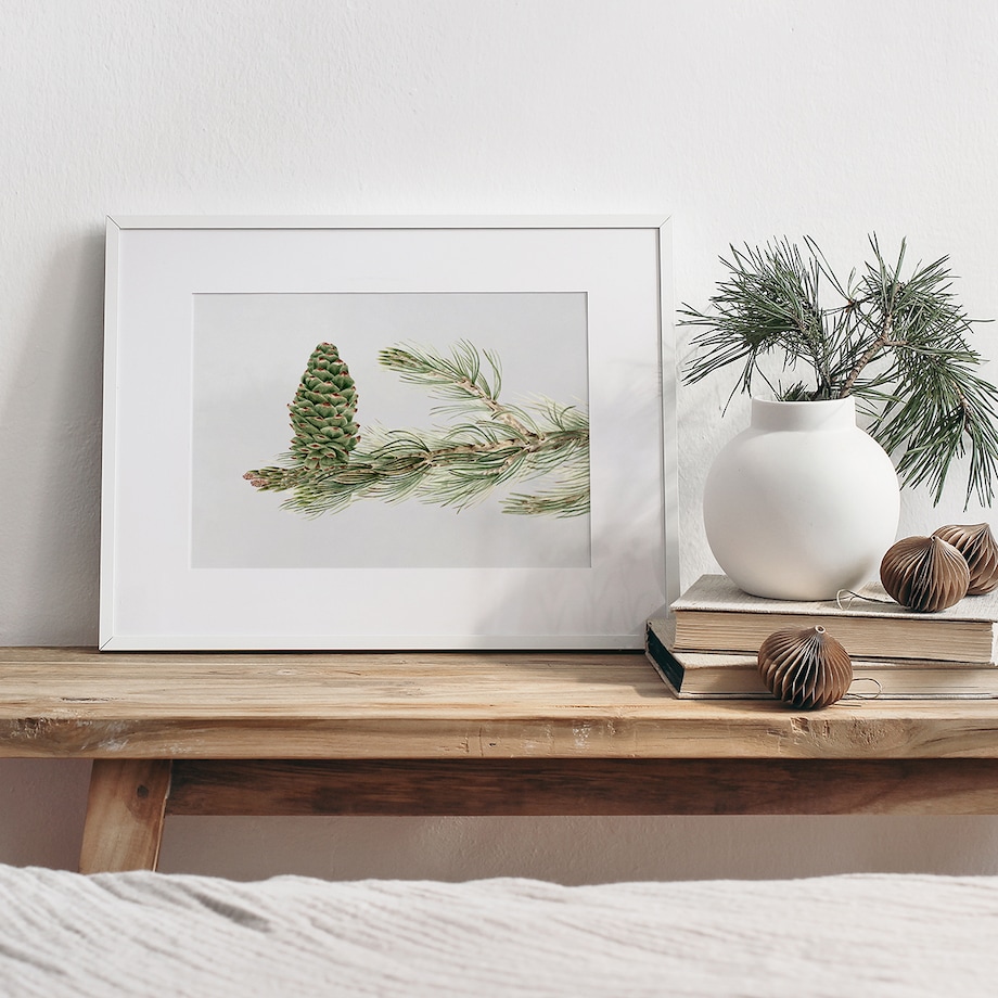 Plakat Gałązka Sosny z Szyszką 30x40cm