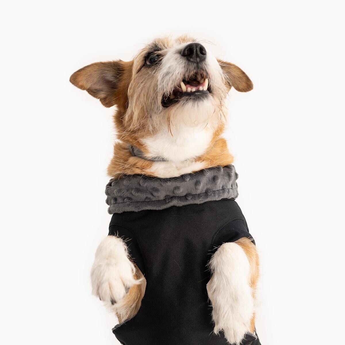 Kurtka dla psa "Psygarnij kropka" - Rozmiar: XL