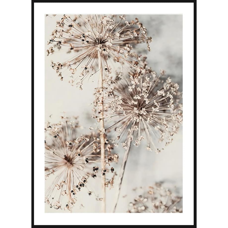 Poster Story, Plakat, Obraz - Suszony Czosnek Ozdobny, wymiary 21 x 30 cm