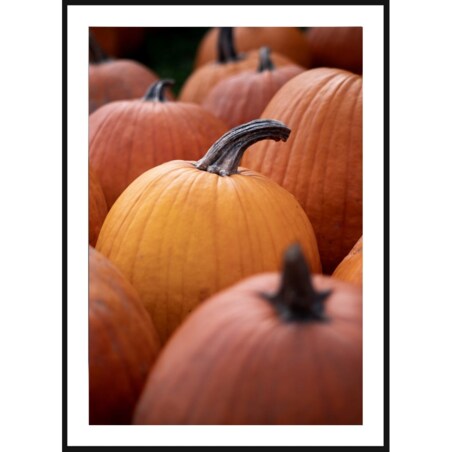 Poster Story, Plakat, Obraz - Dynie w Zbliżeniu, wymiary 60 x 84 cm