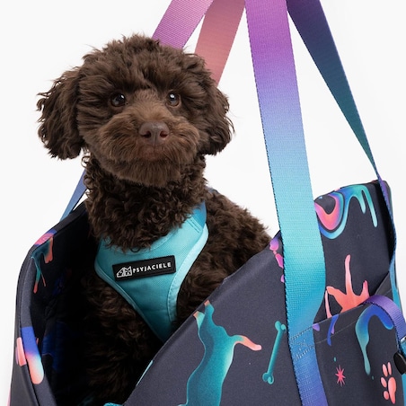 Torba 3w1 "Pies on the beach"