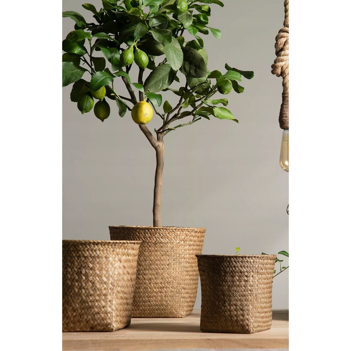 DONICZKA KOSZYK STYL BOHO naturalna donica osłonka na bonsai 3 szt