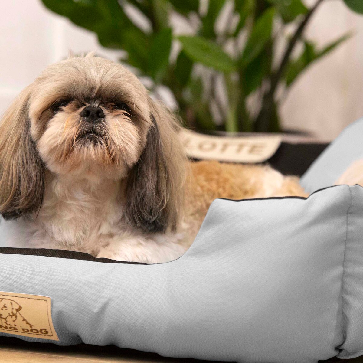 Legowisko Dla Psa 55X45 Cm Posłanie Kanapa Z Miejscem Na Imię Wodoodporne