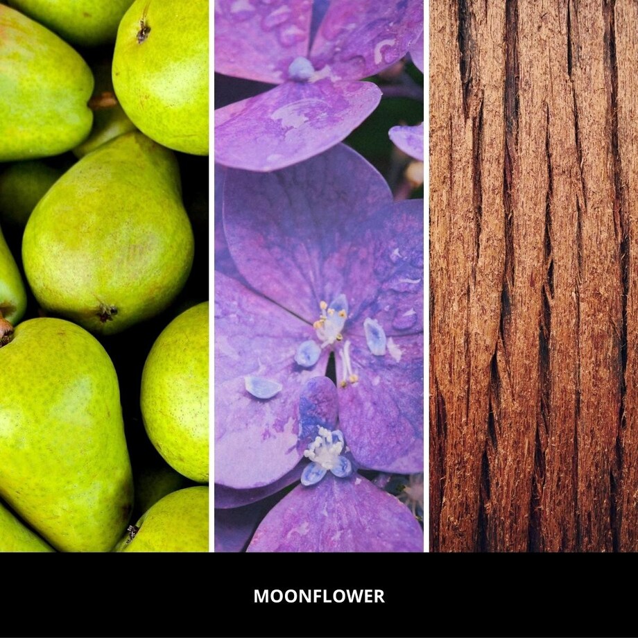 Millefiori pałeczki 250ml MOONFLOWER