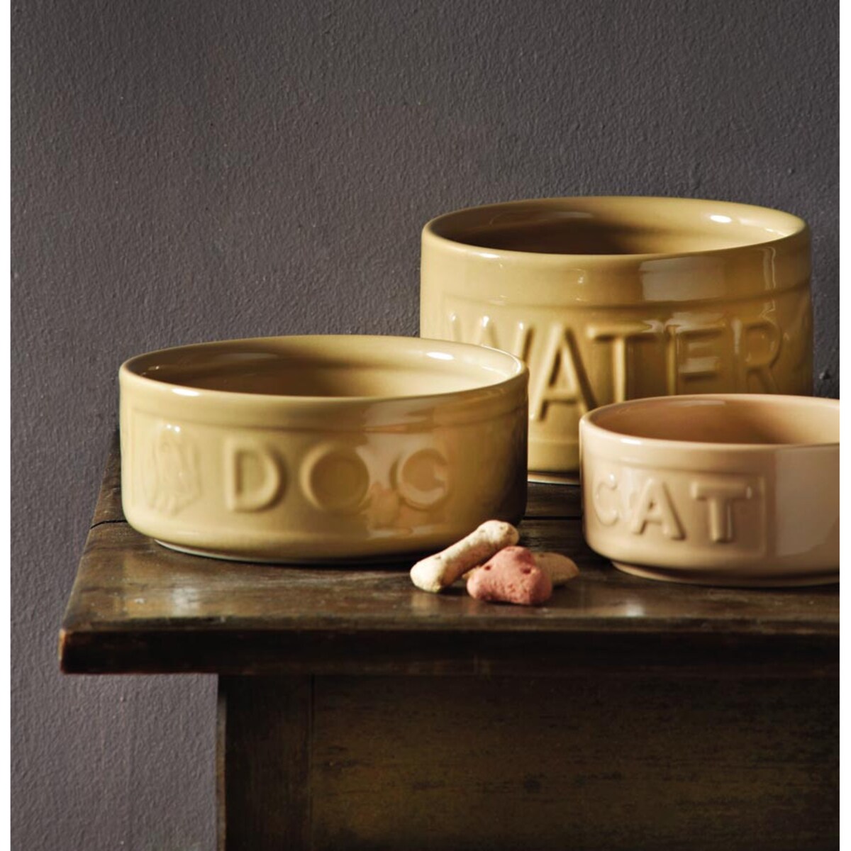 Miska z napisem dla psa Petware Cane, 15 cm, Mason Cash