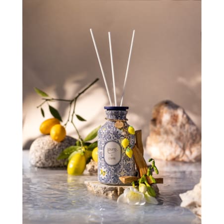 Dyfuzor zapachowyipuro Classic CAPRI, 240 ml