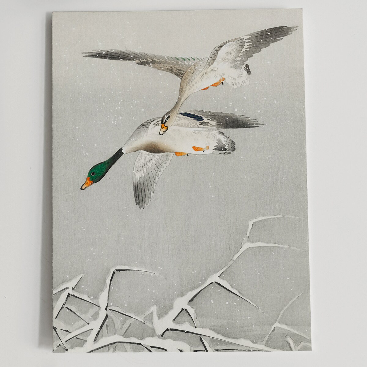 Plakat Kaczki w Locie 30x40cm