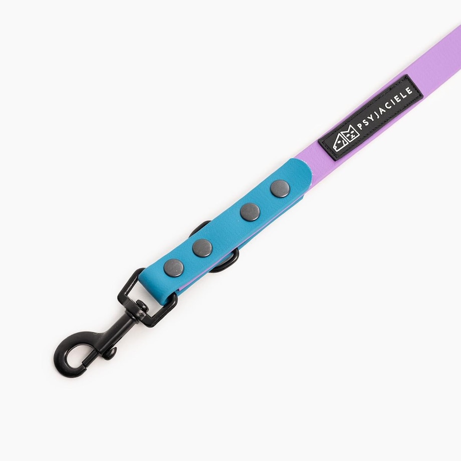 Smycz przepinana Biothane® dla psa lub kota "Lilac with Turquoise" - Rozmiar: M, Szerokość taśmy: 19mm