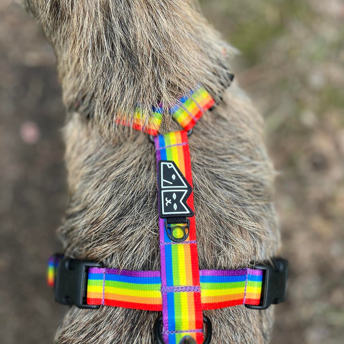 Szelki guard Stay on "Miłość, rowność, gryzaki" - Szerokość taśmy: 38mm, Rozmiar: XL