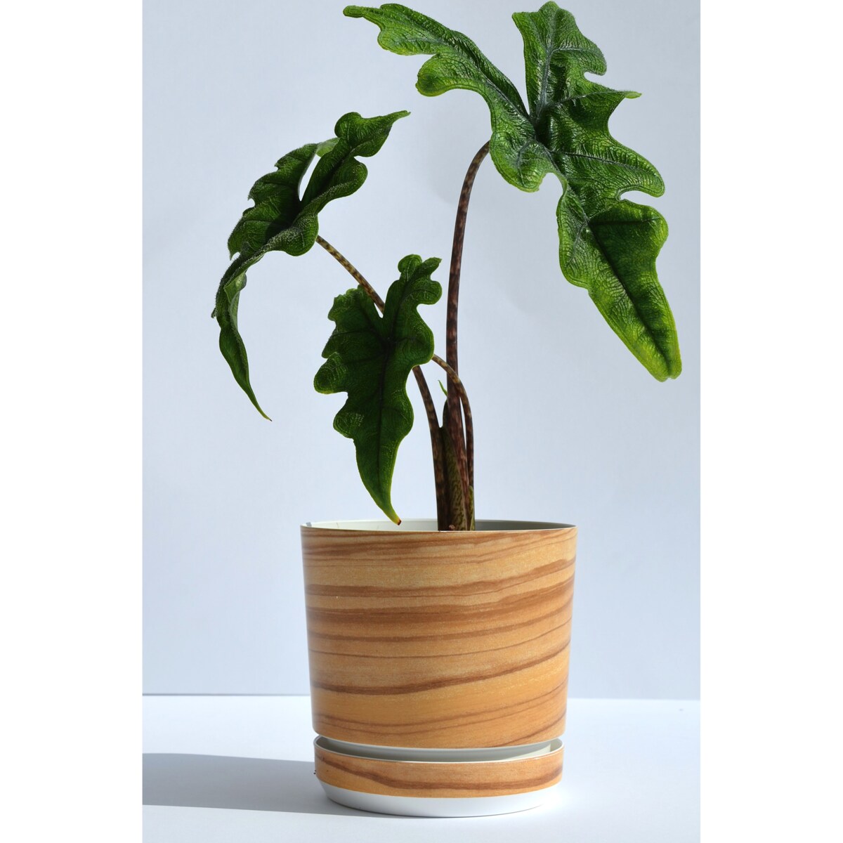 21 cm wzór BAMBUS * Doniczka z podstawką drewnopodobna imitacj deski drewna styl naturalny skandynawski